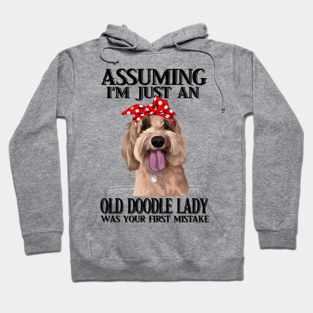 Assuming Im just an old doodle lady was your fist mistake Hoodie by American Woman